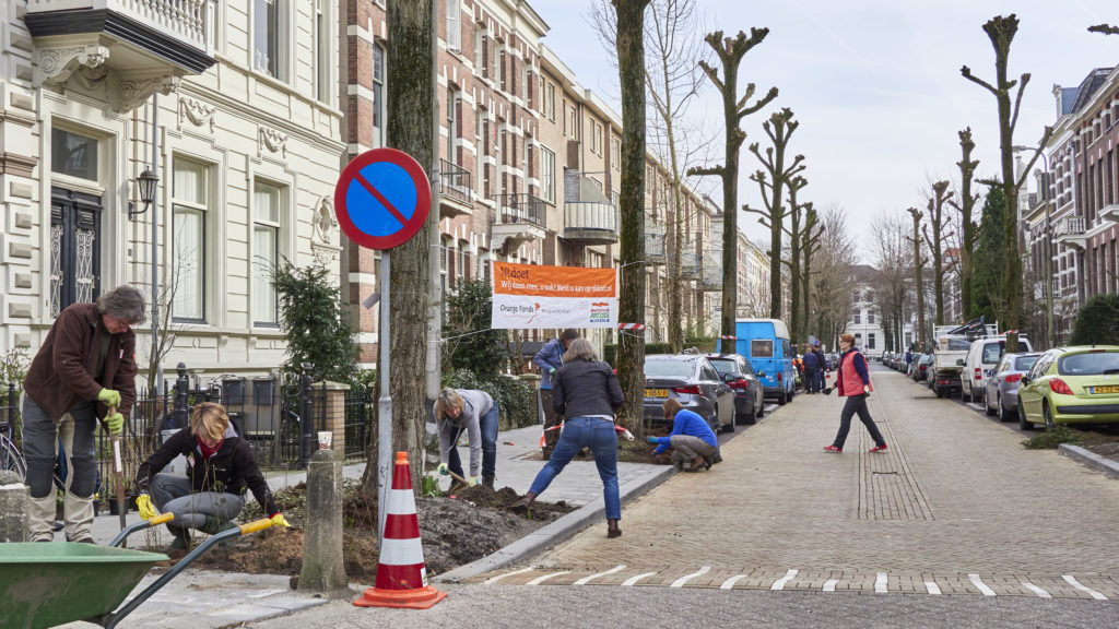 de blauwe wijk economie