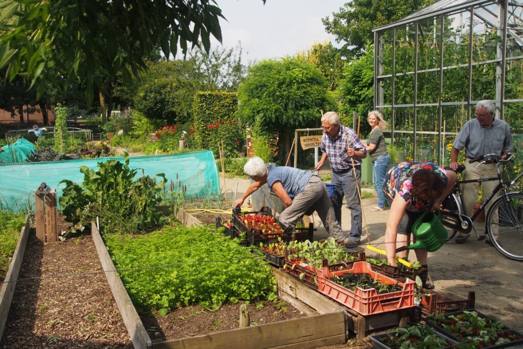 wereldtuin-verdeliet-in-Cuijk-1024x683