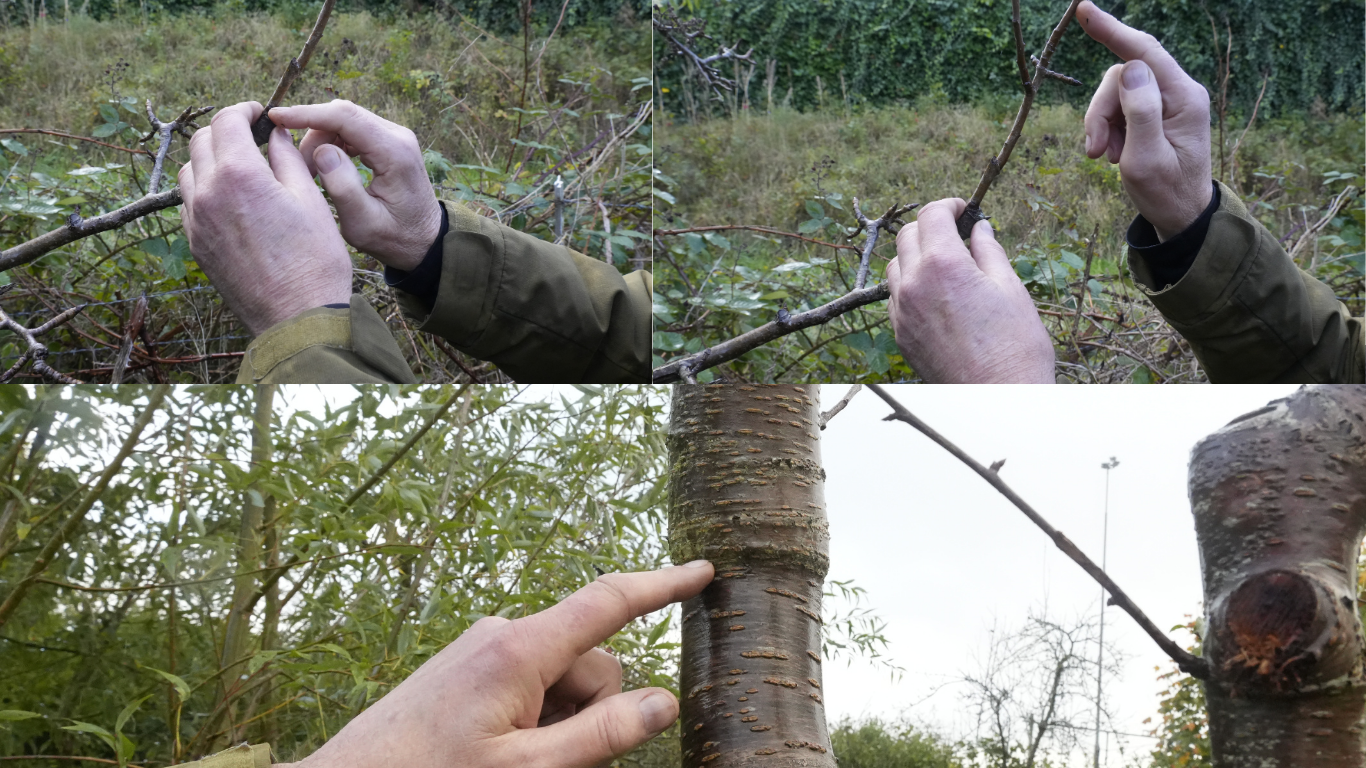 Kopie van Dark Blue and Beige Simple Dark Consultancy Portfolio & Resume Website