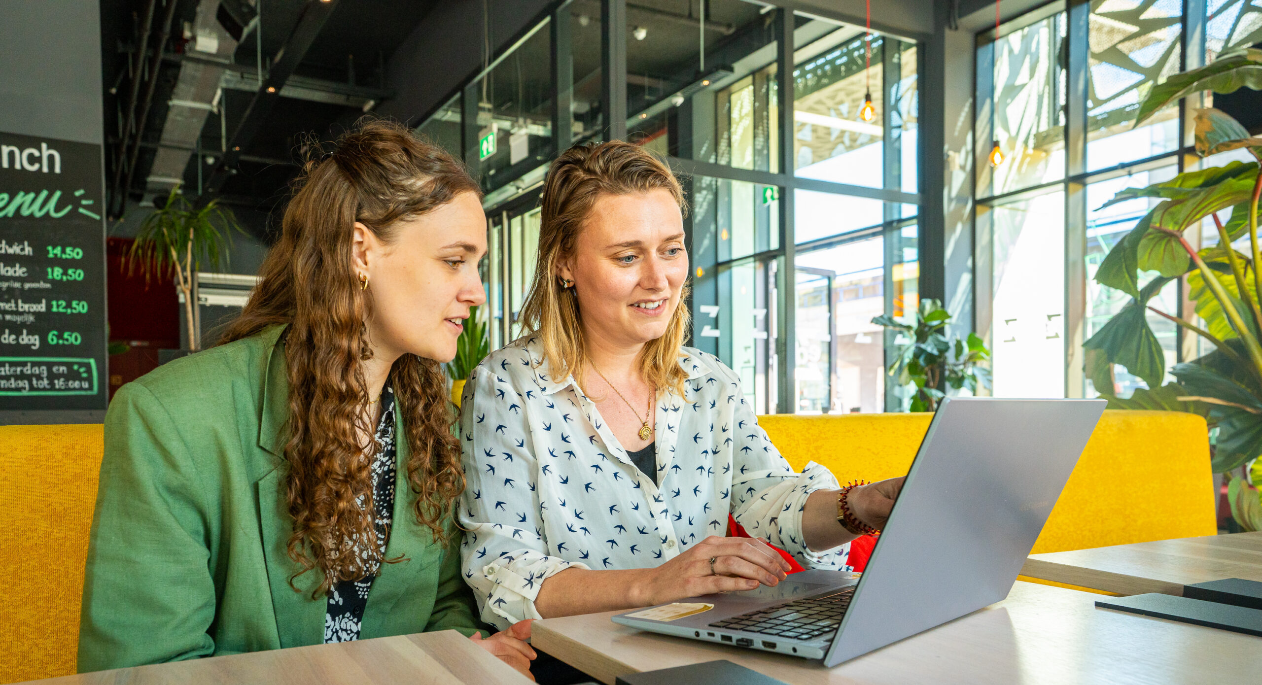 SENL-DSC07910-scaled-e1746800218929